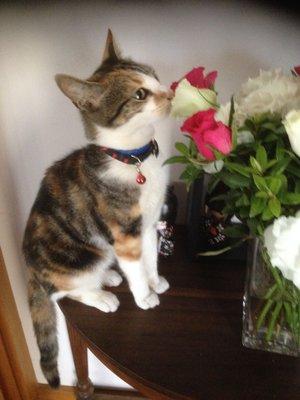 photo of Rosemary B.