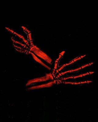 Photo of Alejandra B.