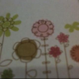 photo of T T.