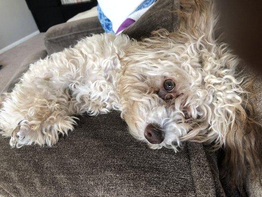 Photo of Jacqueline A.