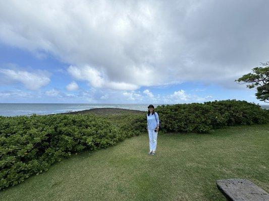 Photo of Mayumi C.
