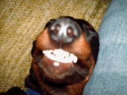 Photo of Jennifer J.