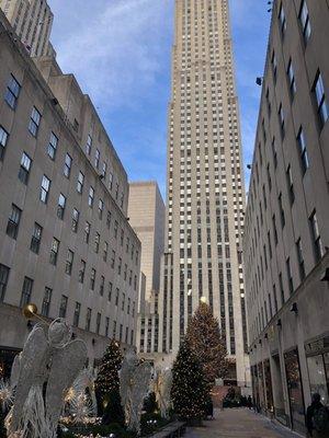 Photo of Elizabeth M.