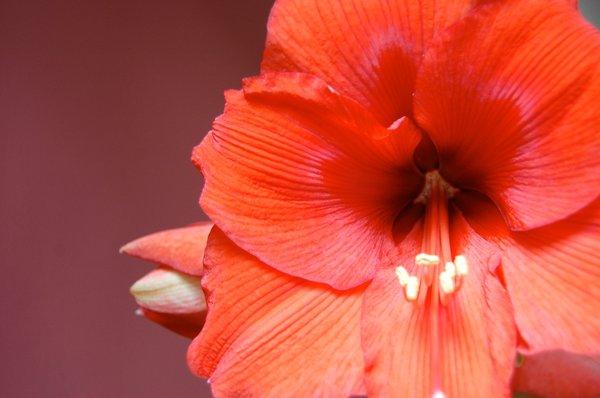 photo of Jennifer H.