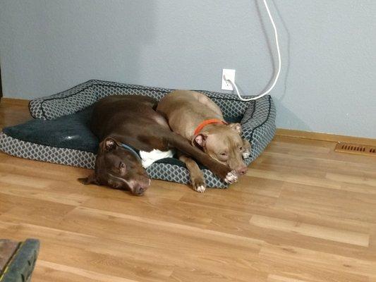 photo of Jennifer C.