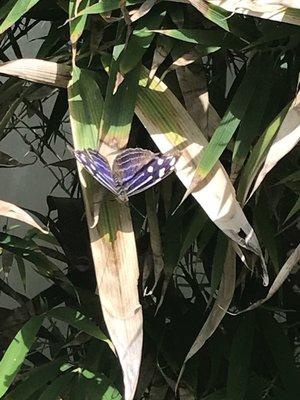 photo of Jennifer F.