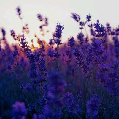 photo of Michelle S.