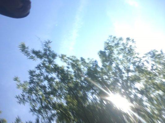 photo of Alexandra P.