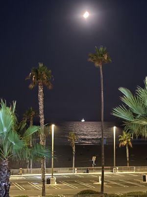 photo of Mc Kenzie H.