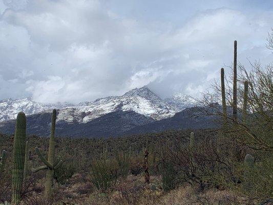 photo of Harrison M.