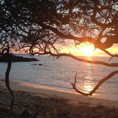 Photo of OnceUpon A.