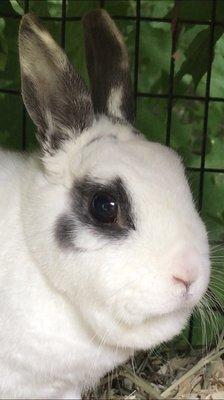 Photo of Wendy V.