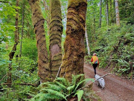 Photo of Brittany B.