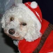 Photo of Courtney W.