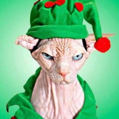 photo of Sherissa M.