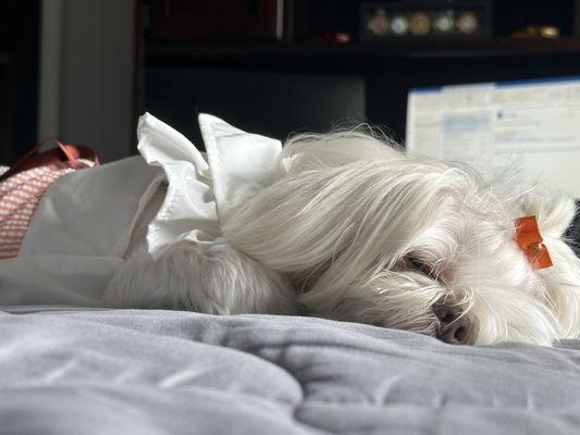 Photo of Marybel M.
