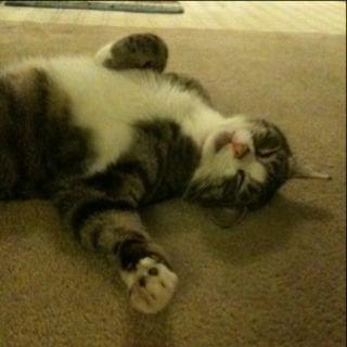 Photo of Kat C.