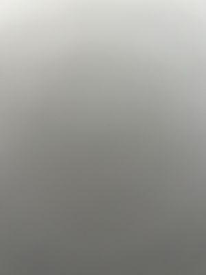 photo of Alexandra V.