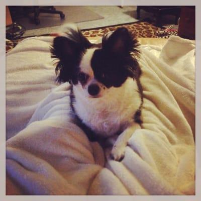 photo of Dprincesspixie P.