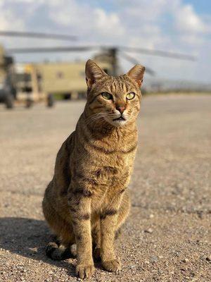 photo of Christopher M.