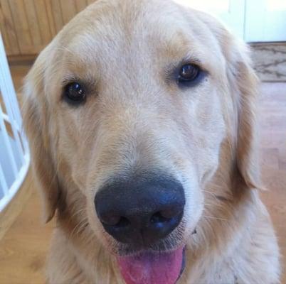 photo of Ashleigh C.