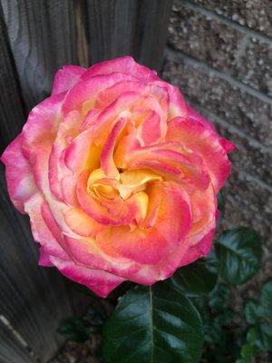 Photo of Aimee S.