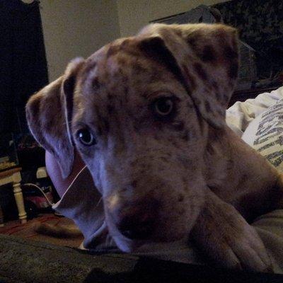 Photo of Elizabeth J.