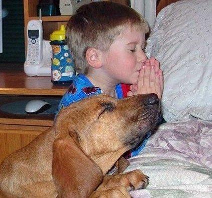 photo of Jason And Euni L.