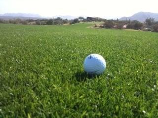 photo of Choister C.