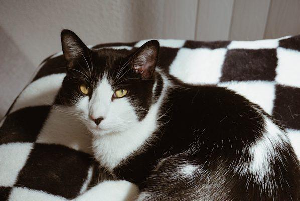 Photo of Kip P.