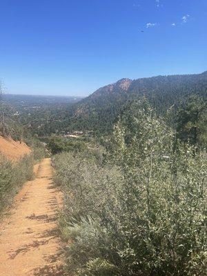 Photo of Christina C.