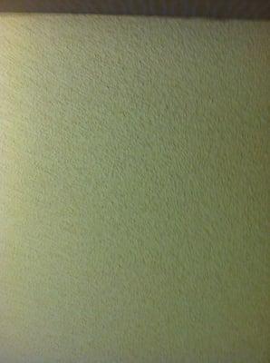 Photo of Angela C.