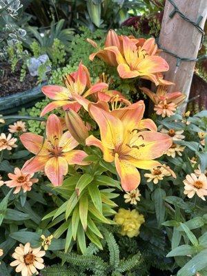 photo of Guadalupe R.