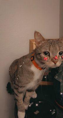 photo of Hannah-Renea B.