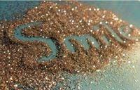 Photo of Tomasina S.