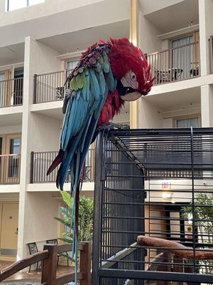 photo of Christopher K.