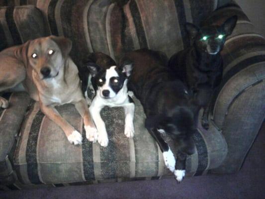 Photo of Christopher U.