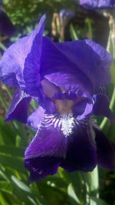 photo of Stephanie D.