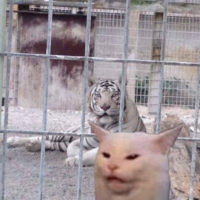 photo of Christopher T.