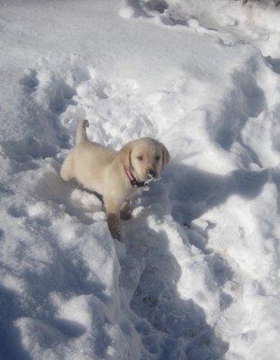 photo of Roderick S.