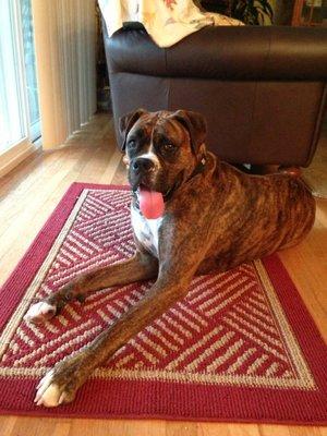 photo of Cathleen D.