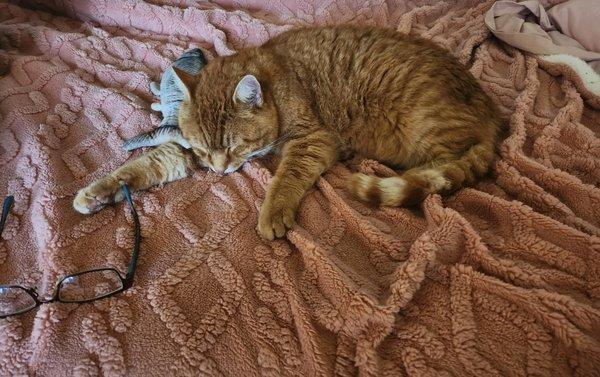 Photo of Jennifer L.