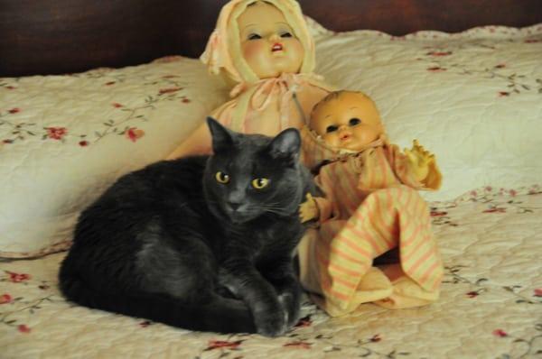 photo of J Stephen S.