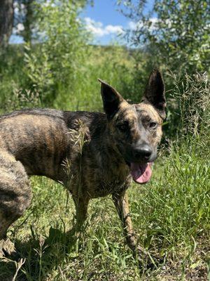 photo of Reviewer R.