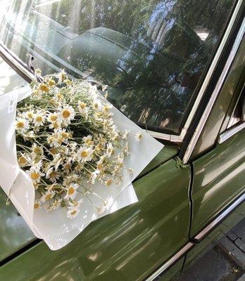 photo of Kassidey V.