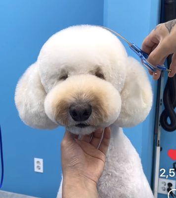 photo of Cyncityhair L.