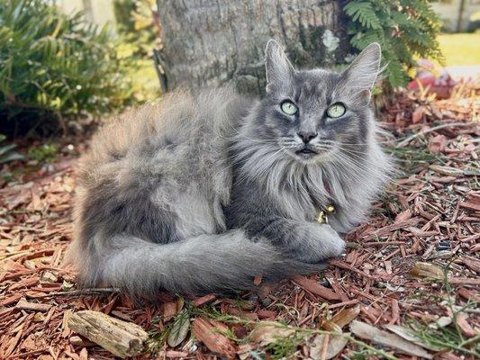 photo of Patricia S.