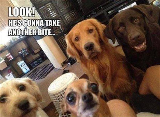 photo of Pupule Miguel N.