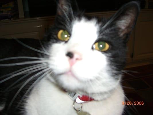 Photo of Susan G.
