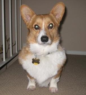 Photo of Eiko L.